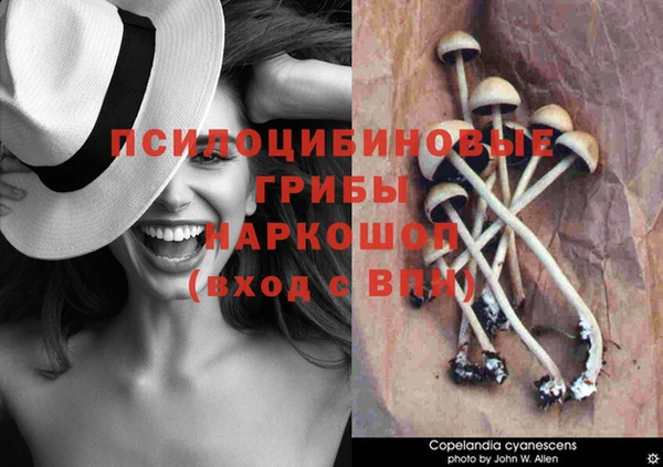 mdpv Сосновый Бор