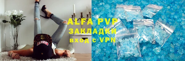 ECSTASY Строитель
