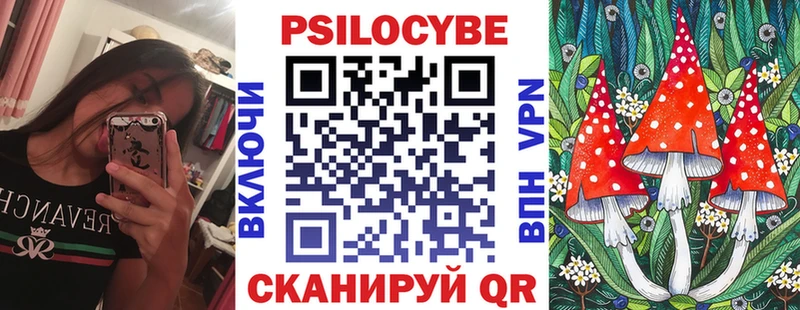 Галлюциногенные грибы Psilocybe  закладка  Туран 