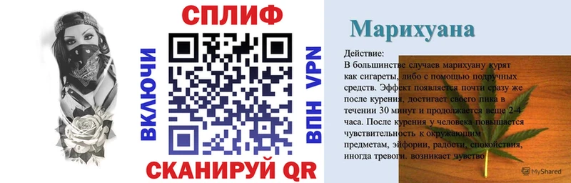 Каннабис семена  Туран 